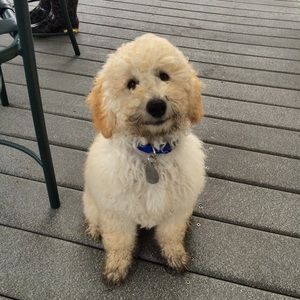 Meet your Posher, Erica